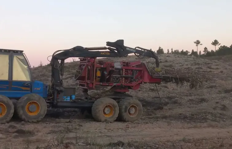 Trator a movimentar pinheiros cortados